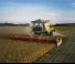 Sklízecí mlátičky Claas Lexion 6800 TerraTrac 