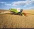 Sklízecí mlátičky Claas Lexion 770