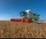 Sklízecí mlátičky Claas Lexion 770