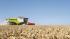 Sklízecí mlátičky Claas Lexion 770