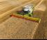 Sklízecí mlátičky Claas Lexion 770 TerraTrac