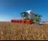 Sklízecí mlátičky Claas Lexion 770 TerraTrac