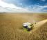 Sklízecí mlátičky Claas Lexion 8900 TerraTrac 