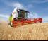 Sklízecí mlátičky Claas Trion 530 Montana   