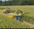 Sklízecí řezačky - pohon na 4 kola New Holland FR 550 