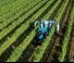 Traktory 4WD Landini 4-075 T3