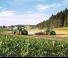 Traktory 4WD John Deere 6230R