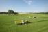 Traktory 4WD Claas Arion 650