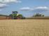 Traktory 4WD Claas Axion 930