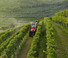 Traktory 4WD Valtra F85S