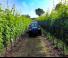 Traktory 4WD BCS Fighter 85 RS SDT
