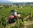 Traktory 4WD SAME Frutteto CVT V 115 