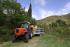 Traktory 4WD SAME Frutteto³ S 90.3 DT