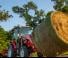 Traktory 4WD Massey Ferguson MF 1765 M MC 