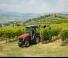 Traktory 4WD Massey Ferguson MF 3VI.95 