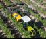 Traktory 4WD Claas Nexos 230 VE