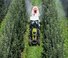 Traktory 4WD Claas Nexos 230 VL