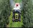 Traktory 4WD Claas Nexos 240 VL