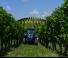 Traktory 4WD Landini Rex 3-070F