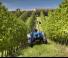 Traktory 4WD New Holland T 4.95 LP
