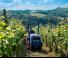 Traktory 4WD BCS Valiant 60 AR Micro 