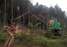 Harvestory Neuson Forest 183HVT