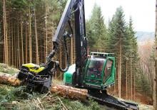 Harvestory Neuson Forest 243HVT
