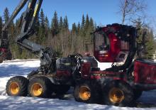 Harvestory Tigercat H 16 HP