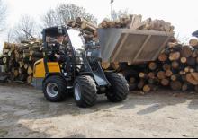 Kolové nakladače Giant V 452 T HD