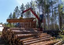 Lesnické jeřáby Loglift F18S OUT95
