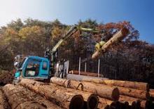 Lesnické jeřáby Loglift F 61 FT 85