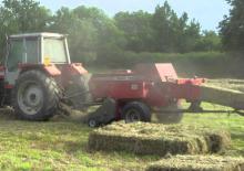 Lisy na hranolové balíky + Lisy na obří balíky Massey Ferguson MF 1839