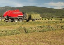 Lisy na hranolové balíky + Lisy na obří balíky Massey Ferguson MF 2190 SP
