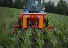 Radličkové podmítače Maschio HP-4