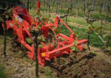 Radličkové podmítače Maschio Pinocchio 130/3