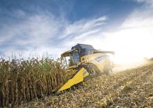 Sklízecí mlátičky sklízeče kukuřice New Holland NH 980CF 8R 75