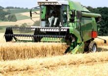 Sklízecí mlátičky DEUTZ-FAHR 5445 H