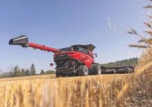 Sklízecí mlátičky Case IH AF11