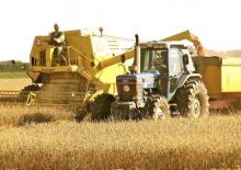 Sklízecí mlátičky New Holland Clayson M 140 Armada