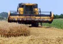 Sklízecí mlátičky New Holland CS 6050 (606 E)