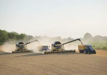 Sklízecí mlátičky New Holland CX 8090 Elevation