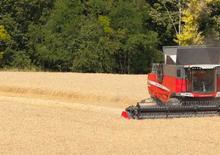 Sklízecí mlátičky Massey Ferguson Delta 9280