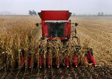 Sklízecí mlátičky Massey Ferguson Fortia 9895