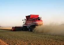 Sklízecí mlátičky Massey Ferguson Fortia 9895
