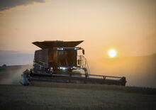 Sklízecí mlátičky Massey Ferguson Ideal 8 PL