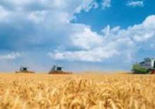 Sklízecí mlátičky Claas Lexion 600