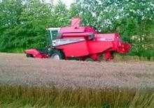 Sklízecí mlátičky Massey Ferguson MF 2045