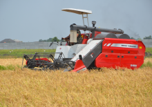 Sklízecí mlátičky Massey Ferguson MF 2168
