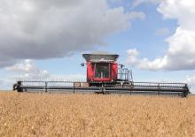 Sklízecí mlátičky Massey Ferguson MF 9795