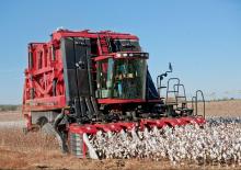 Sklízecí mlátičky Case IH Module Express 635
